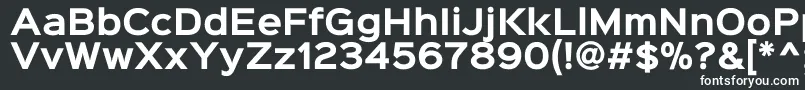 Шрифт Sinkinsans700bold – белые шрифты на чёрном фоне