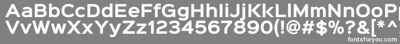 Sinkinsans700bold Font – White Fonts on Gray Background
