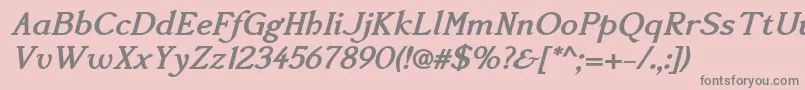 Accanthisadfstdno3Bolditalic Font – Gray Fonts on Pink Background
