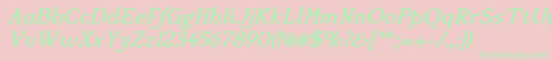 Accanthisadfstdno3Bolditalic Font – Green Fonts on Pink Background