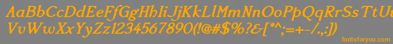 Accanthisadfstdno3Bolditalic Font – Orange Fonts on Gray Background