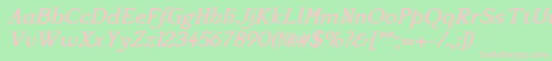 Accanthisadfstdno3Bolditalic Font – Pink Fonts on Green Background