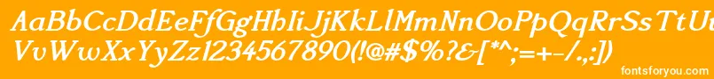 Accanthisadfstdno3Bolditalic Font – White Fonts on Orange Background