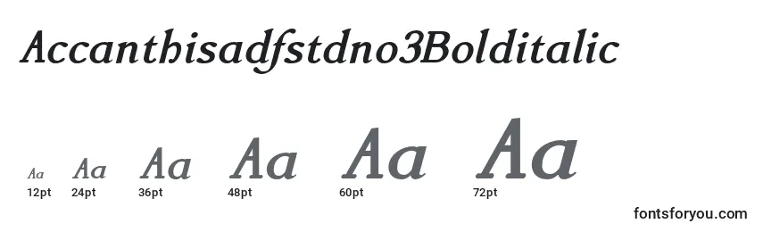 Accanthisadfstdno3Bolditalic Font Sizes