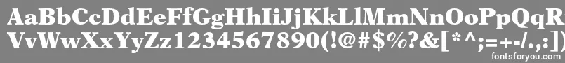 フォントNewasterltstdBlack – 灰色の背景に白い文字