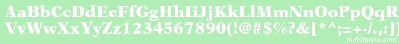 NewasterltstdBlack Font – White Fonts on Green Background