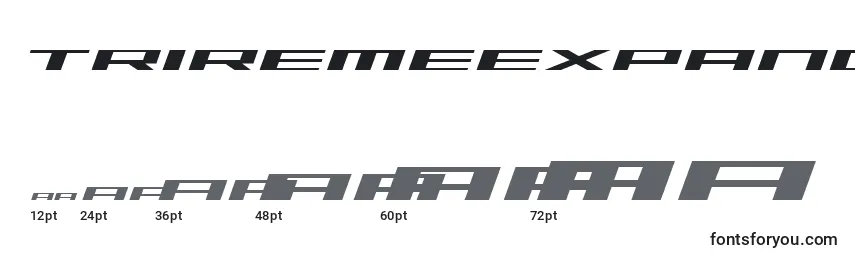 TriremeExpandedItalic Font Sizes