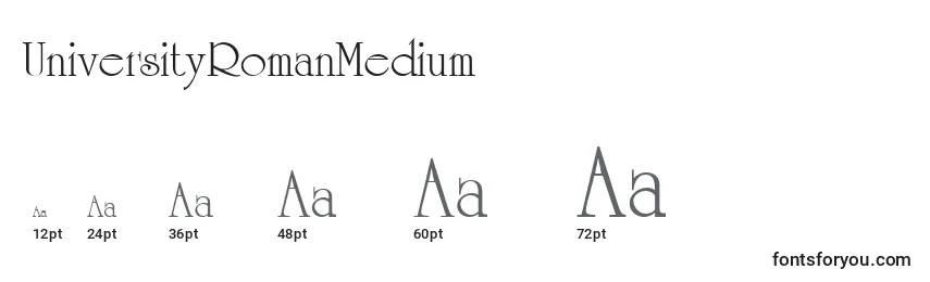 UniversityRomanMedium Font Sizes