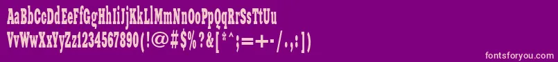 Xeniawesternc Font – Pink Fonts on Purple Background