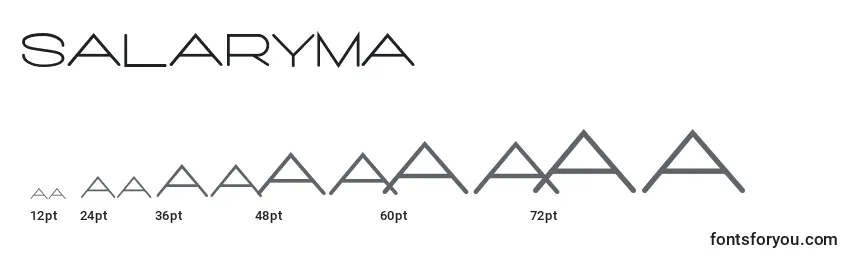 Размеры шрифта Salaryma