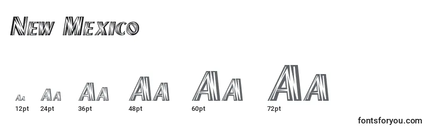 New Mexico Font Sizes
