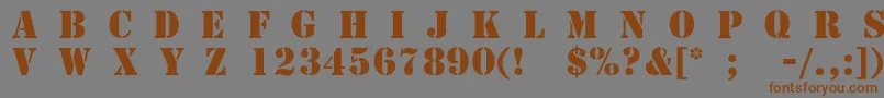 TemplateCapsMediumSsiMedium Font – Brown Fonts on Gray Background