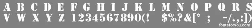TemplateCapsMediumSsiMedium Font – White Fonts on Gray Background