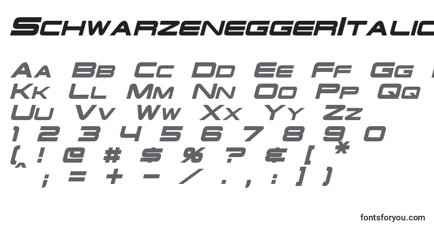 Czcionka SchwarzeneggerItalic – alfabet, cyfry, specjalne znaki