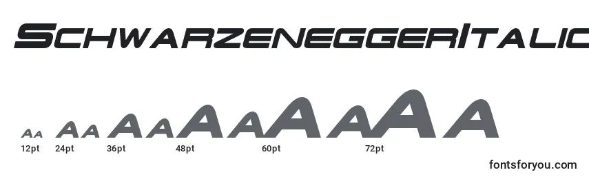 Размеры шрифта SchwarzeneggerItalic