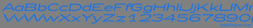 fuente Zeppelin52Italic – Fuentes Azules Sobre Fondo Gris