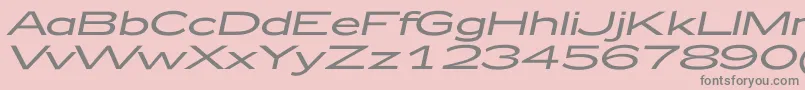 フォントZeppelin52Italic – ピンクの背景に灰色の文字