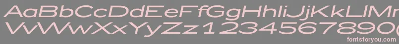 Police Zeppelin52Italic – polices roses sur fond gris