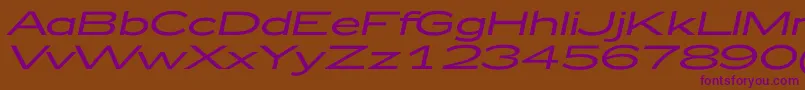 Zeppelin52Italic Font – Purple Fonts on Brown Background