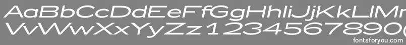 フォントZeppelin52Italic – 灰色の背景に白い文字