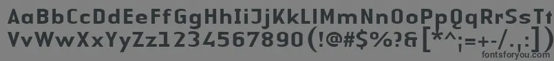 フォントLinotypeAuthenticSansMedium – 黒い文字の灰色の背景