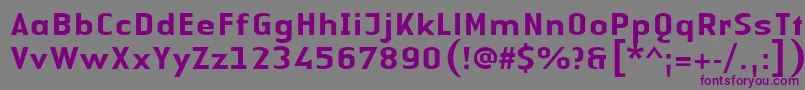 Czcionka LinotypeAuthenticSansMedium – fioletowe czcionki na szarym tle