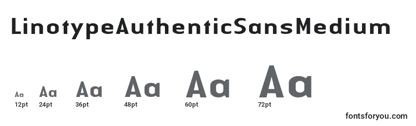 Размеры шрифта LinotypeAuthenticSansMedium