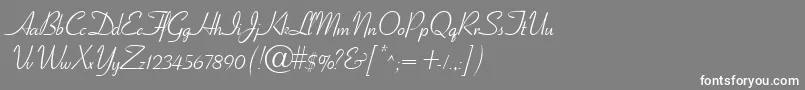 フォントCornetRegular – 灰色の背景に白い文字