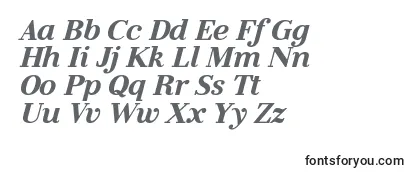LitolandItalic Font