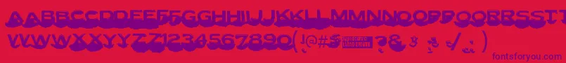 Lettersetc Font – Purple Fonts on Red Background
