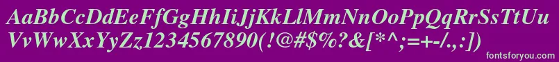 TimesltstdBolditalic Font – Green Fonts on Purple Background