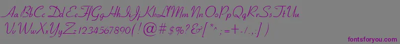 CyrillicribbonNormal Font – Purple Fonts on Gray Background