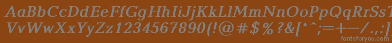 BalticaBoldItalic Font – Gray Fonts on Brown Background