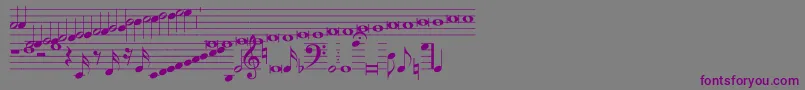 fuente Hymnus212 – Fuentes Moradas Sobre Fondo Gris