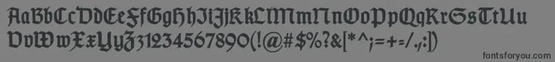 GotischcBold Font – Black Fonts on Gray Background