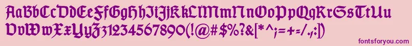 GotischcBold Font – Purple Fonts on Pink Background