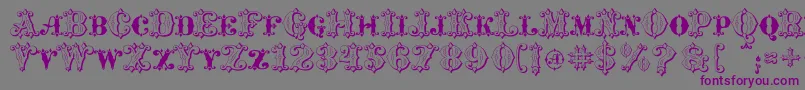 フォントMavericksLuckKqs – 紫色のフォント、灰色の背景