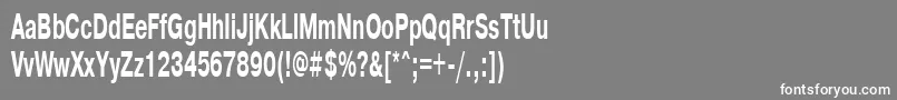 Pragmaticactt55b Font – White Fonts on Gray Background