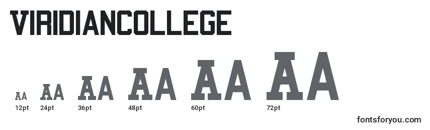 ViridianCollege Font Sizes