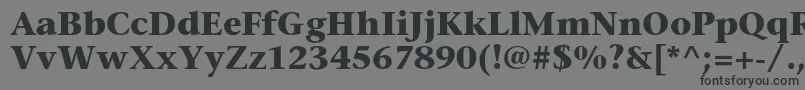 フォントStoneserifstdBold – 黒い文字の灰色の背景