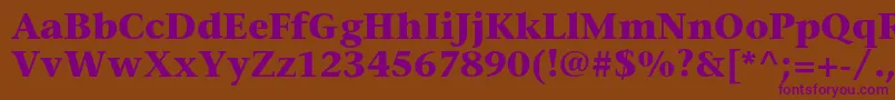 StoneserifstdBold Font – Purple Fonts on Brown Background