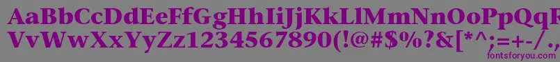 フォントStoneserifstdBold – 紫色のフォント、灰色の背景