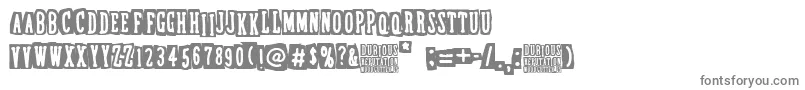 DubiousReputation Font – Gray Fonts on White Background