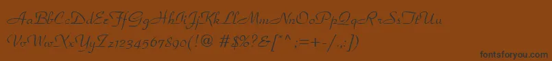 フォントParkAvenueLt – 黒い文字が茶色の背景にあります