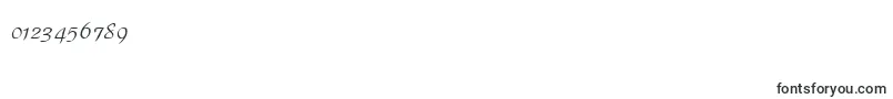 ParkAvenueLt Font – Fonts for Numbers and Digits