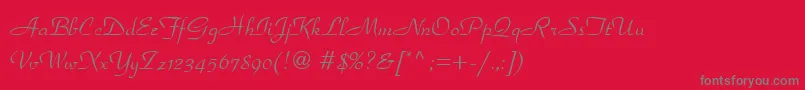 ParkAvenueLtフォントについての詳細 フォントParkAvenueLt – 赤い背景に灰色の文字