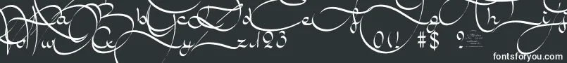 Шрифт AmalScript – белые шрифты на чёрном фоне