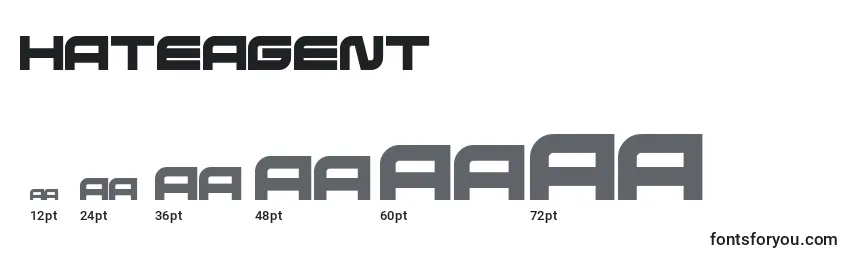 Размеры шрифта HateAgent