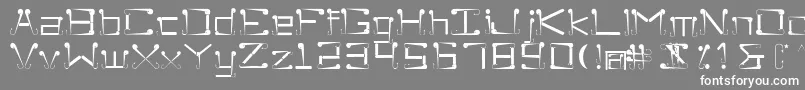 フォントSukolilo – 灰色の背景に白い文字