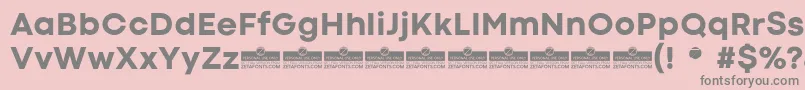 CodecColdExtraboldTrial Font – Gray Fonts on Pink Background